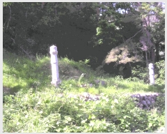  2024Ÿ3287 泲 о ʵ 渮 12      (Ӿ)