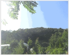  2024Ÿ3287 泲 о ʵ 渮 12      (Ӿ)