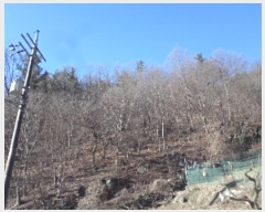  2024Ÿ3287 泲 о ʵ 渮 12      (Ӿ)