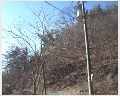  2024Ÿ3287 泲 о ʵ 渮 12      (Ӿ)