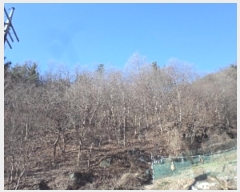  2024Ÿ3287 泲 о ʵ 渮 12      (Ӿ)