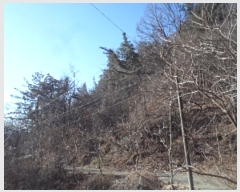  2024Ÿ3287 泲 о ʵ 渮 12      (Ӿ)