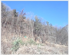  2024Ÿ3287 泲 о ʵ 渮 12      (Ӿ)