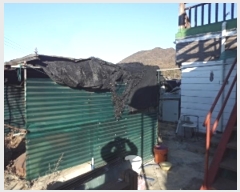  2024Ÿ3317 泲 о ʵ Ȳ 1355-6      ð