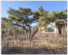  2024Ÿ3348 泲 о ʵ Ȳ 639-6      ð