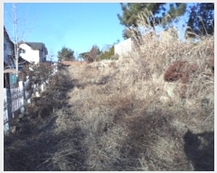  2024Ÿ3348 泲 о ʵ Ȳ 639-6      ð