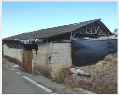  2024Ÿ10117 泲 â籺  ȿ 147      ()