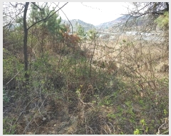  2024Ÿ��10476 �泲 �о�� �ʵ��� ������ 649-1      ����(��1)���