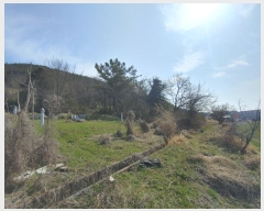  2024Ÿ��10476 �泲 �о�� �ʵ��� ������ 649-1      ����(��1)���