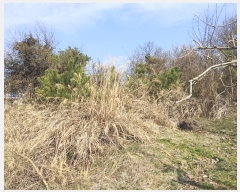  2024Ÿ��10476 �泲 �о�� �ʵ��� ������ 649-1      ����(��1)���