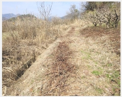  2024Ÿ��10476 �泲 �о�� �ʵ��� ������ 649-1      ����(��1)���