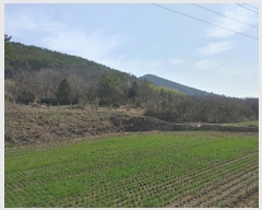  2024Ÿ��10476 �泲 �о�� �ʵ��� ������ 649-1      ����(��1)���