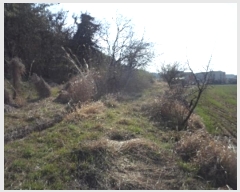  2024Ÿ��10476 �泲 �о�� �ʵ��� ������ 649-1      ����(��1)���