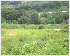  2024Ÿ12021 泲 â籺 â õ 459      ()