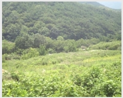  2024Ÿ12021 泲 â籺 â õ 459      ()