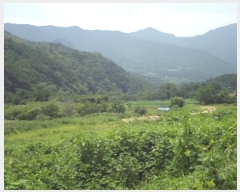  2024Ÿ12021 泲 â籺 â õ 459      ()