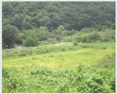  2024Ÿ12021 泲 â籺 â õ 459      ()