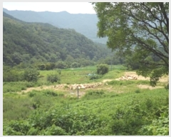  2024Ÿ12021 泲 â籺 â õ 459      ()