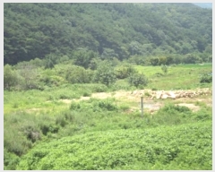  2024Ÿ12021 泲 â籺 â õ 459      ()