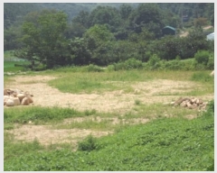  2024Ÿ12021 泲 â籺 â õ 459      ()