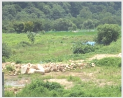  2024Ÿ12021 泲 â籺 â õ 459      ()