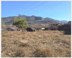  2024Ÿ13475 泲 о  ︮ 95      ()