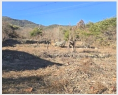  2024Ÿ13475 泲 о  ︮ 95      ()