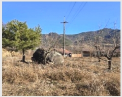  2024Ÿ13475 泲 о  ︮ 95      ()