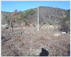  2024Ÿ13475 泲 о  ︮ 95      ()