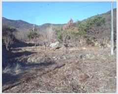  2024Ÿ13475 泲 о  ︮ 95      ()