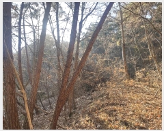  2024Ÿ��13536  �Ӿ߰��