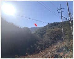  2024Ÿ��13536  �Ӿ߰��