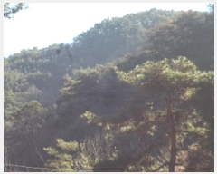  2024Ÿ��13536  �Ӿ߰��