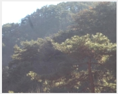  2024Ÿ��13536  �Ӿ߰��