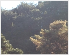  2024Ÿ��13536  �Ӿ߰��