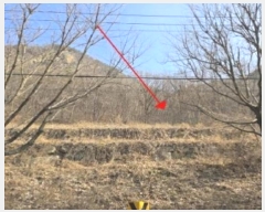  2024Ÿ13628 泲 о   1261      (Ӿ)