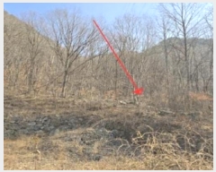  2024Ÿ13628 泲 о   1261      (Ӿ)