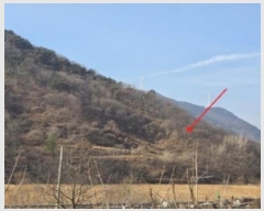  2024Ÿ13628 泲 о   1261      (Ӿ)