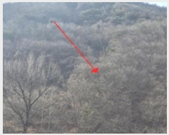  2024Ÿ13628 泲 о   1261      (Ӿ)