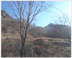  2024Ÿ13628 泲 о   1261      (Ӿ)