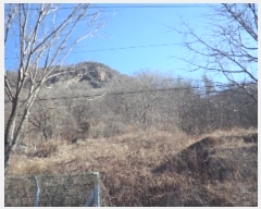  2024Ÿ13628 泲 о   1261      (Ӿ)