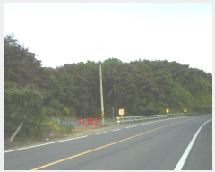  2024Ÿ��332  ����