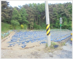  2024Ÿ��332  ����