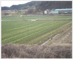  2024Ÿ��332  ����