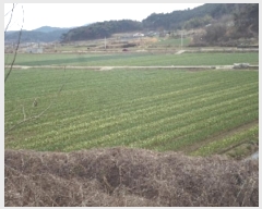  2024Ÿ��332  ����