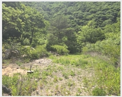  2024Ÿ��608 �泲 �о�� ����� ��õ�� ��99      ����(�Ӿ�)���