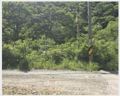  2024Ÿ��608 �泲 �о�� ����� ��õ�� ��99      ����(�Ӿ�)���