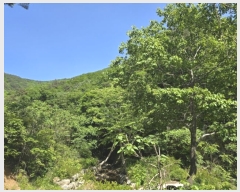  2024Ÿ��608 �泲 �о�� ����� ��õ�� ��99      ����(�Ӿ�)���