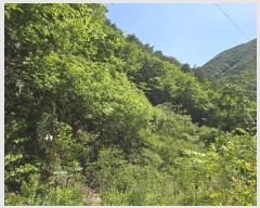  2024Ÿ��608 �泲 �о�� ����� ��õ�� ��99      ����(�Ӿ�)���