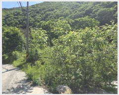  2024Ÿ��608 �泲 �о�� ����� ��õ�� ��99      ����(�Ӿ�)���